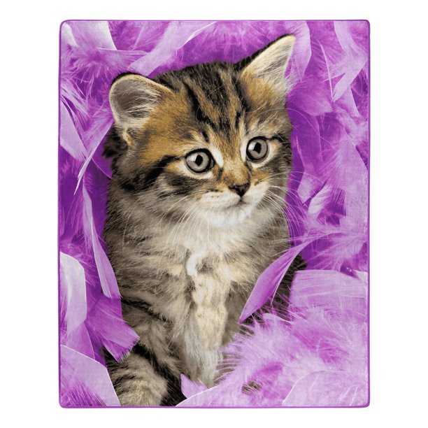 American Heritage Collection Royal Plush Raschel Throw Blanket Tabby Cat  Kitten