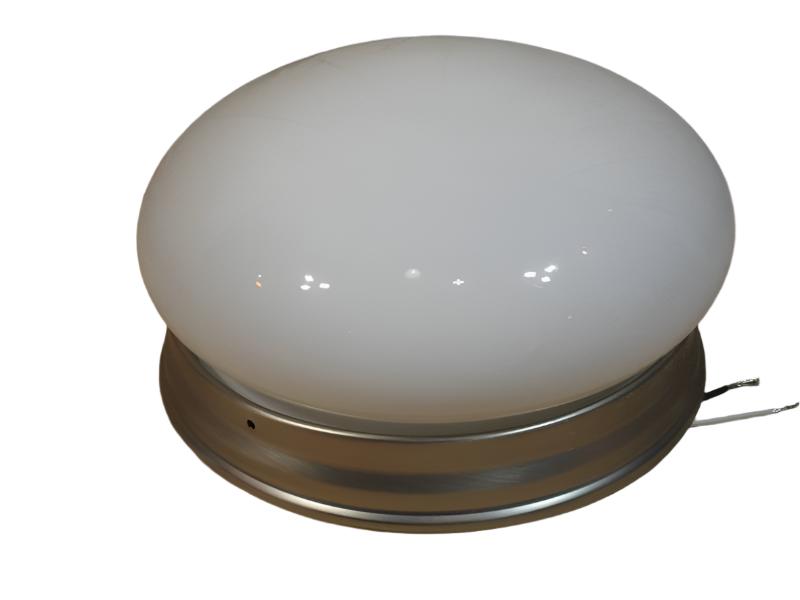 E Lighting Flush Ceiling Mount 9.5" Brushed Nickle w/Glass Dome Light Fixture