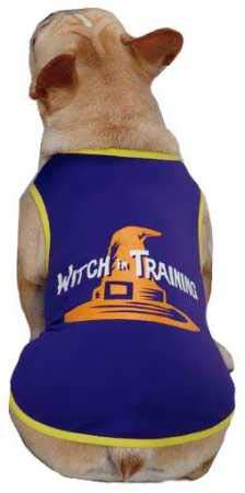 Casual Canine Witch in Training Tee for Pets, Small, Purple