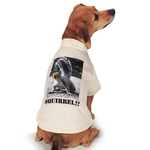 Casual Canine Photo Real Squirrel Tee, Small/Medium, Brown