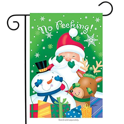 Rain or Shine No Peeking Small Garden Flag