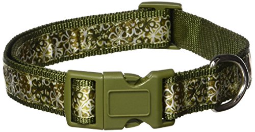 East Side Collection Nylon Carolina Dog Collar, 18 to 26-Inch, Green