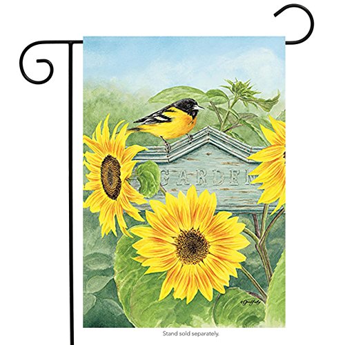 Rain or Shine 12.5" x 18" Birds Garden Flag