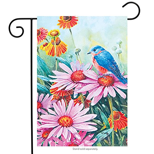 Rain or Shine Painted Daisies Bird Garden Flag 1.04-ft W x 1.5-ft H