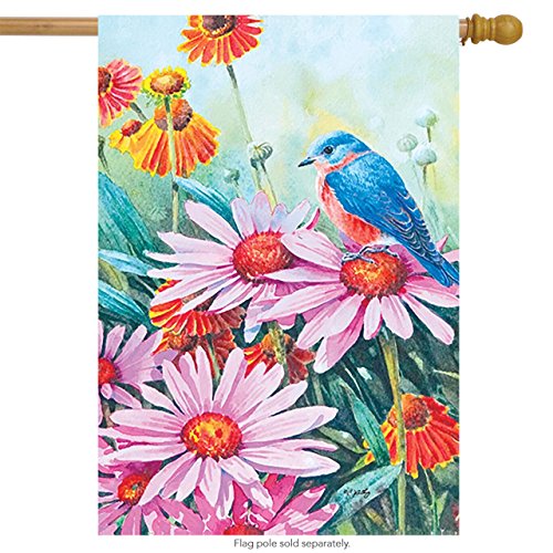 Rain or Shine 28"x 40" Bird and Flowers Flag