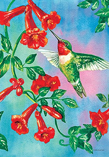 Rain or Shine Hummingbird Trumpet Vine Porch Garden Art Flag