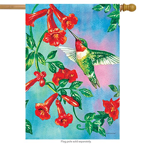 Rain or Shine Hummingbird Trumpet Vine Porch Garden Art Flag