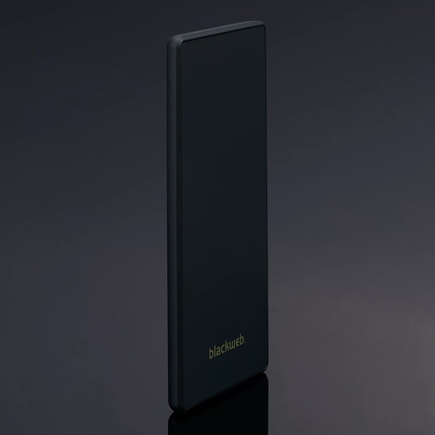 BlackWeb 5200 mAh Slim Portable Battery with LED Indicator