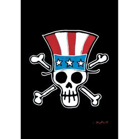 Patriotic Jolly Roger 18-in x 12.5-in Garden Flag