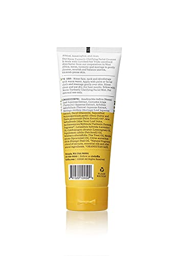 Alaffia Neem Turmeric Clarifying Facial Cleanser