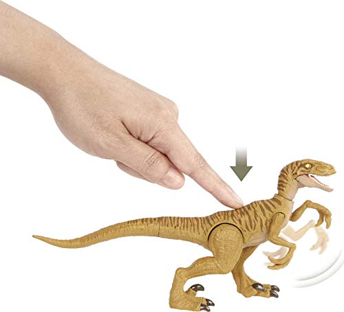 Jurassic World Velociraptor - Claw Slash Savage Strike Dinosaur Action Figure, Smaller Size, Attack Move Iconic to Species, Movable Arms & Legs, Great Gift for Ages 4 Years Old & Up