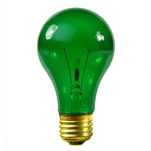 Sylvania 38 Watt Transparent Indoor Outdoor Green Light Bulb