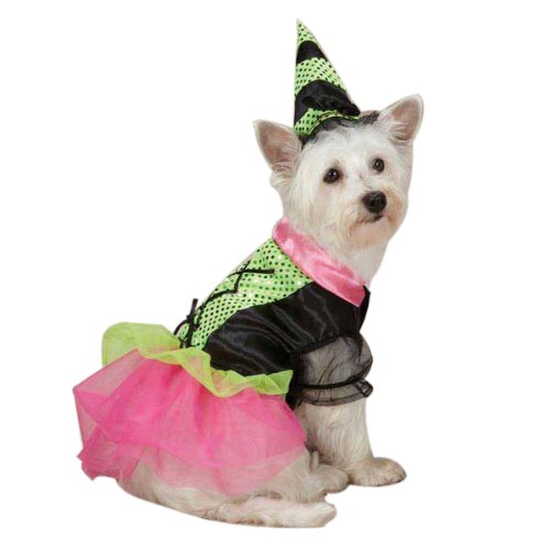 Zack & Zoey Witchy Business Costume for Dogs, , Green