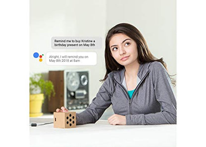 Google AIY Voice Kit