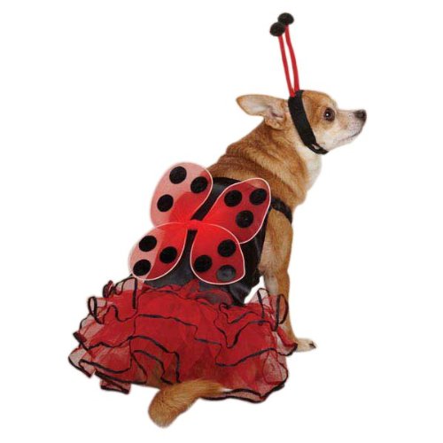 Casual Canine Lucky Bug Costume for Dogs, X-Small, Red