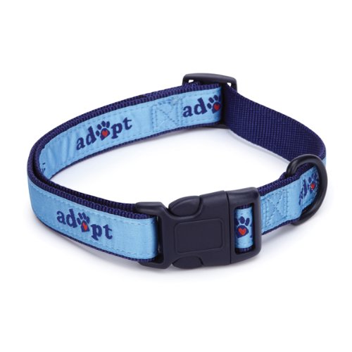 Casual Canine Nylon Adopt Dog Collar, 14-20-Inch, Blue