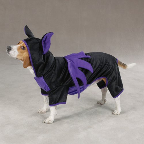 Casual Canine Polyester Bat Dog Costume, X-Small, 8-Inch