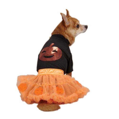 Zack & Zoey Pumpkin Costume Set for Pets, Medium, Orange