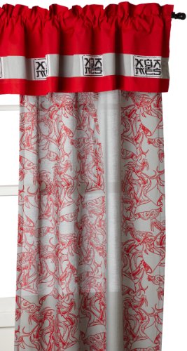 X Games Dragon Drapes, 84 x 84-(LxW) Inch