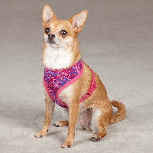 East Side Collection Polyester/Nylon Carolina Dog Harness, Small, Raspberry