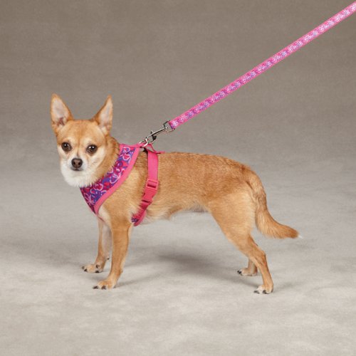 East Side Collection Polyester/Nylon Carolina Dog Harness, Small, Raspberry