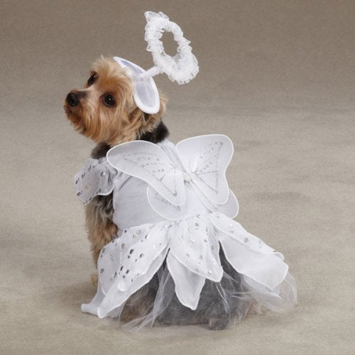 Casual Canine Angel Paws Dog Costume, X-Small, White