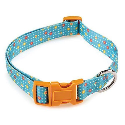 Blooming Brights Collar Size: 0.13" H x 10" - 16" W x 0.63" D