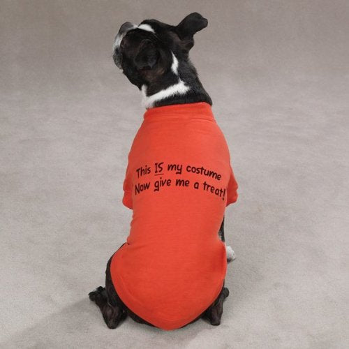 Zack & Zoey Polyester/Cotton This is My Costume Dog Tee, XX-Small