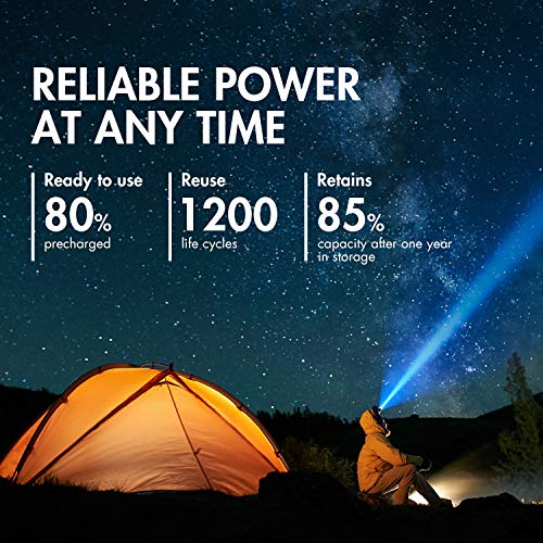 Tenergy TN141 2 Bay 9V Smart Charger with 4 pcs Premium 9V NiMH 250mAh Rechargeable Batteries