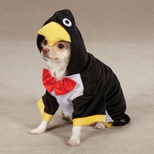 Zack & Zoey Penguin Pup Costume, Black, Large