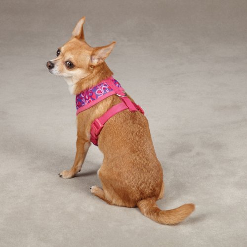 East Side Collection Polyester/Nylon Carolina Dog Harness, Small, Raspberry