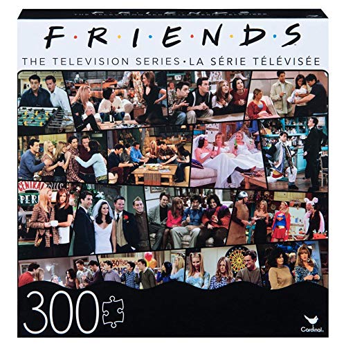 Red Bird Hong Kong LTD, Friends 300pc Puzzle Asst